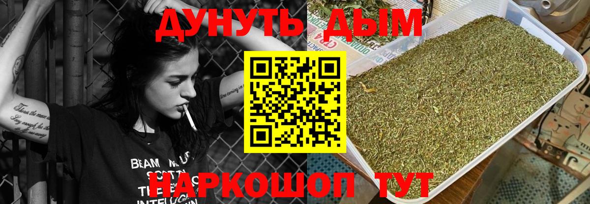 Конопля сатива Карпинск